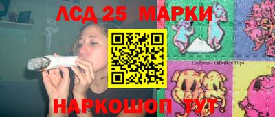 гидра Заводоуковск