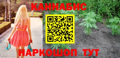 гидра Заводоуковск