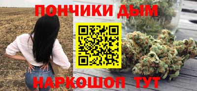 гидра Заводоуковск