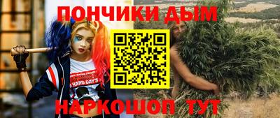 гидра Заводоуковск