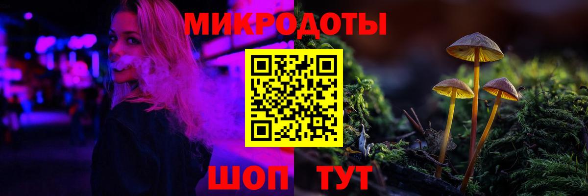 Псилоцибиновые грибы Cubensis Муром